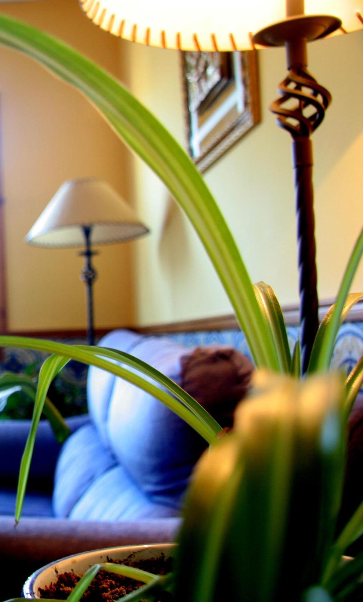 Hostal Casa Barranco Castejón del Puente エクステリア 写真